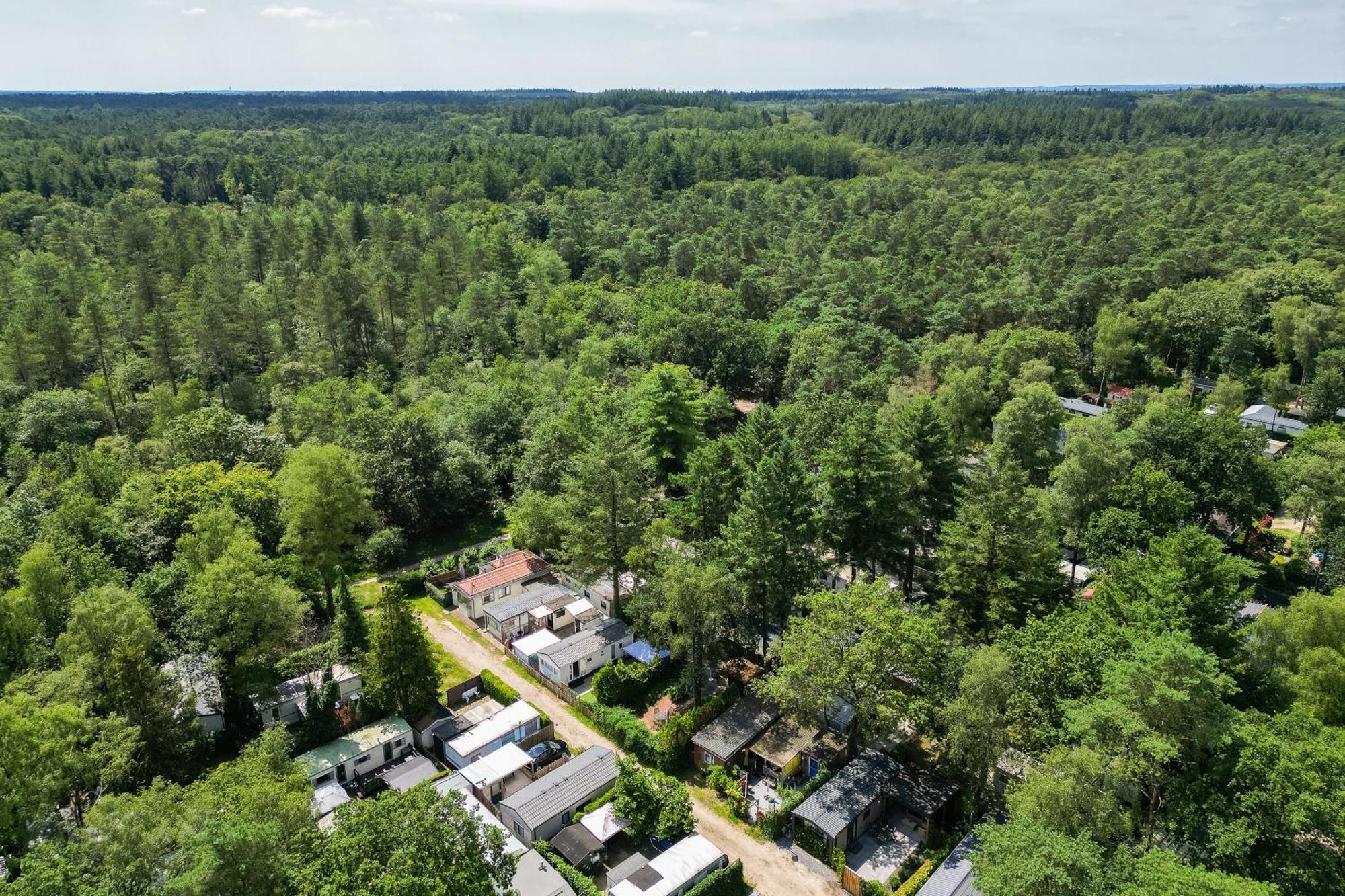 Veluwe Hoenderloo Luxury Chalet With Private Sauna And Hot Tub - Swimming Pool Tennis Court Supermarket Bowling Alley Theatre And Entertainment For Children Eksteriør billede